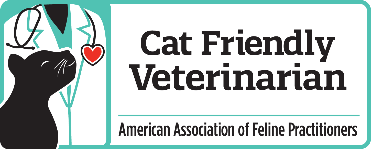 Cat friendly veterinarian certified